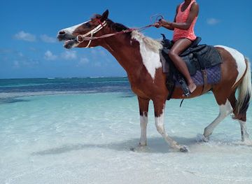 british-virgin-islands/anegada/landmark/francis-family-farm