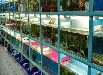 guatemala/guatemala-city/landmark/comercial-y-acuario-abc-s-a