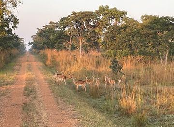zambia/lusaka-national-park/landmark/mwamfushi-safari-lodge-booking-office