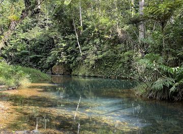 puerto-rico/el-yunque-national-forest/landmark/bosque-estatal-de-carite
