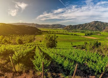 chile/curico/landmark/ruta-del-vino-valles-de-curico