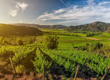 Ruta del Vino Valles de Curico