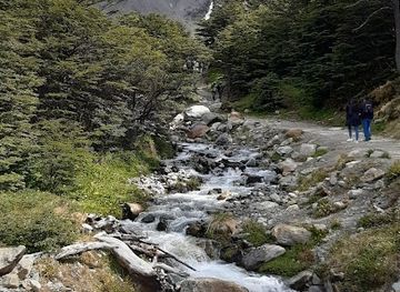 argentina/tierra-del-fuego/landmark/sendero-al-lado-del-rio