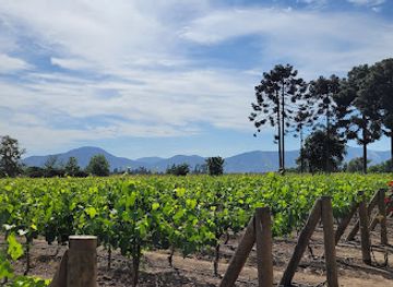 chile/central-valley/landmark/vina-undurraga