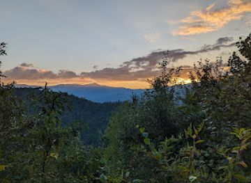 north-carolina/great-smoky-mountains/landmark/cataloochee-valley-elk-watching