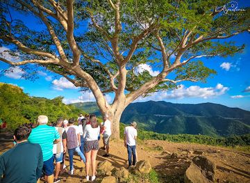 puerto-rico/greater-antilles/landmark/la-curva-del-arbol