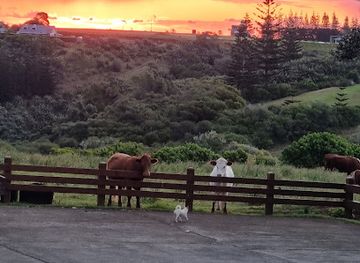 norfolk-island/burnt-pine/landmark/norfolk-island-brewing