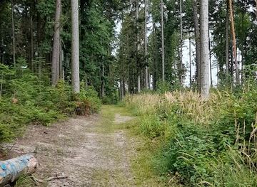 czechia/svaty-kopecek/landmark/svatokopecka-trasa-na-svatem-kopecku