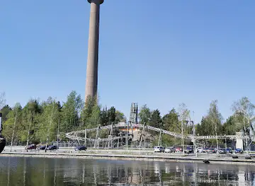 Näsinneula