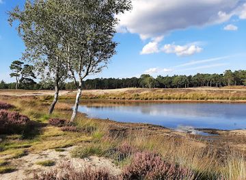 netherlands/veluwe/landmark/bosmeertje