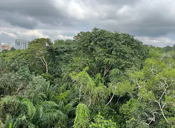 Chestnut Nature Park