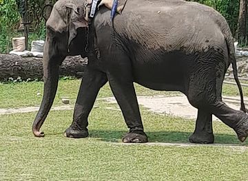 nepal/chitwan-national-park/landmark/parsa-national-park