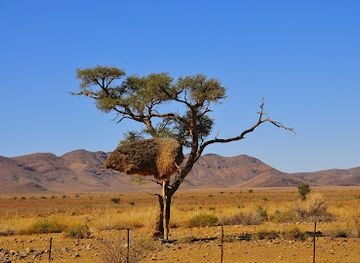 namibia/namib-naukluft-national-park/landmark/tok-tokkie-hiking-trails