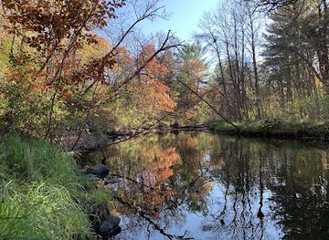 minnesota/lake-of-the-woods/landmark/charles-a-lindbergh-state-park