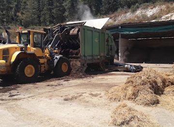 israel/northern-district/landmark/en-hosen