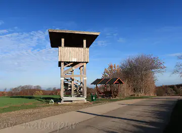 Aussichtsturm Wichmannsdorf