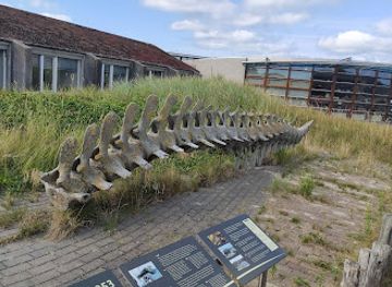 netherlands/texel-island/landmark/ecomare
