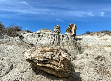 north-dakota/theodore-roosevelt-national-park/landmark/petrified-forest-loop