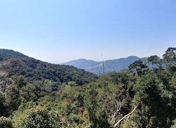 south-africa/lowveld/landmark/woodbush-forest-reserve