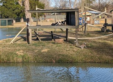 alabama/chattahoochee-river/landmark/alabama-safari-park