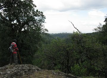 kenya/mount-elgon-national-park/landmark/mt-elgon-forest-reserve