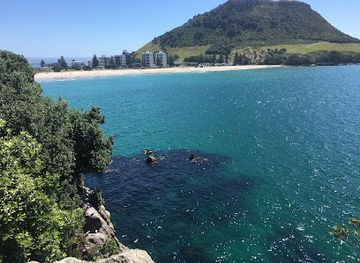 new-zealand/bay-of-plenty/landmark/moturiki-island