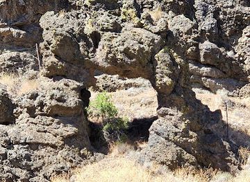 idaho/clearwater/landmark/idaho-historic-marker-264-the-ant-and-the-yellowjacket
