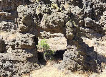 Idaho Historic Marker #264 - The Ant and the Yellowjacket