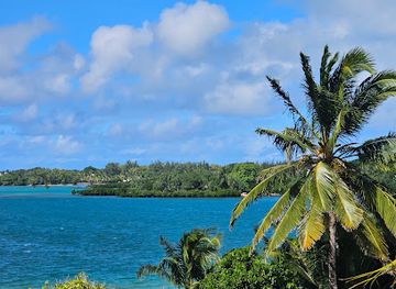 mauritius/ile-aux-cerfs/landmark/tino-boats