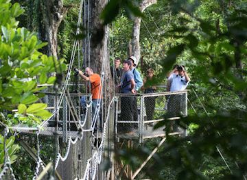 guyana/potaro-siparuni/landmark/iwokrama-canopy-walkway