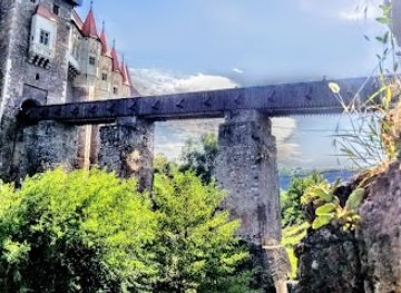 romania/crisana/landmark/castelul-corvinilor-corvins-castle