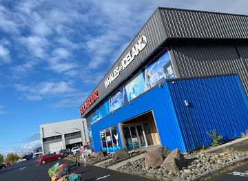 iceland/reykjavik/vesturbar/landmark/whales-of-iceland