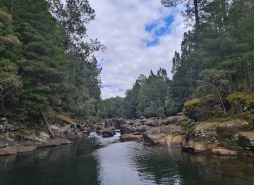 new-zealand/bay-of-plenty/landmark/mclaren-falls-park