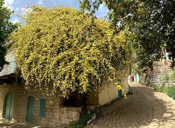 lebanon/zahle/landmark/domaine-des-tourelles