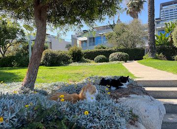 cyprus/limassol/germasogeia/landmark/dasoudi-beach-blue-flag