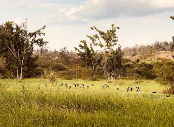 rwanda/byumba/landmark/umusambi-village