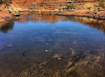 australia/outback/landmark/kings-canyon-carpark