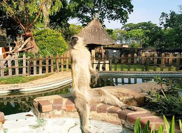 zimbabwe/harare/landmark/twala-trust-animal-sanctuary