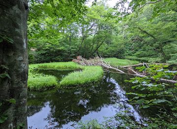 japan/sado/landmark/otowaike-pond