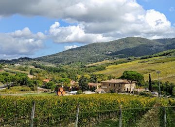 italy/chianti-classico/landmark/castello-vicchiomaggio-direct-sales