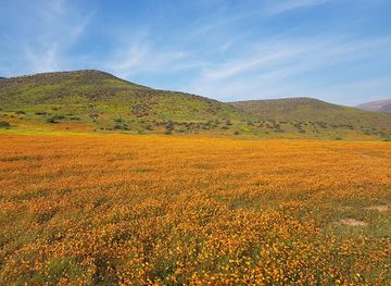 south-africa/west-coast-national-park/landmark/west-coast-way