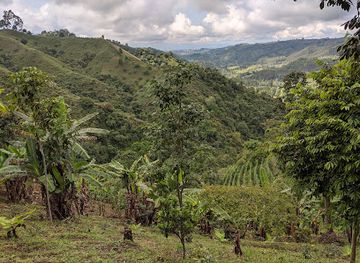 colombia/coffee-axis/landmark/don-eduardo