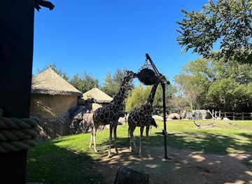 texas/fort-worth/landmark/westbrook-estate-texas-state-historical-marker