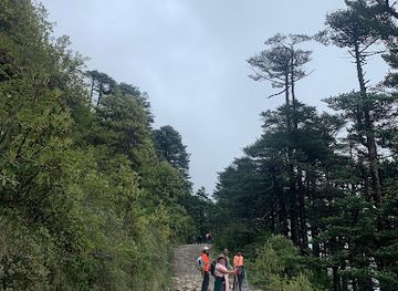 india/darjeeling/landmark/dekho-darjeeling-tours-travel