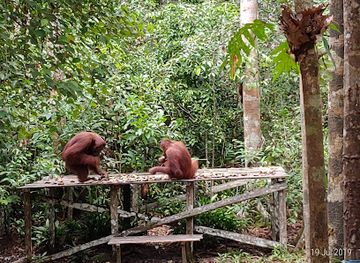 indonesia/tanjung-puting-national-park/landmark/tanjung-puting-national-park-quayside-office