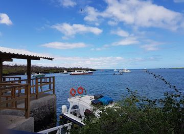 ecuador/galapagos-islands/landmark/santa-cruz-to-baltra-ferry-terminal