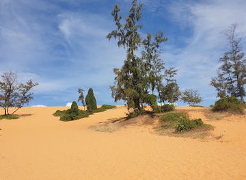 vietnam/mui-ne/landmark/red-sand-dunes