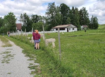 estonia/parnu/landmark/alpakafarm-ou