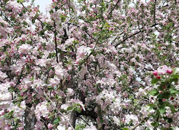 new-mexico/sante-fe/landmark/el-zaguan