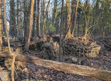south-carolina/rock-hill/landmark/carhartt-mansion-ruins